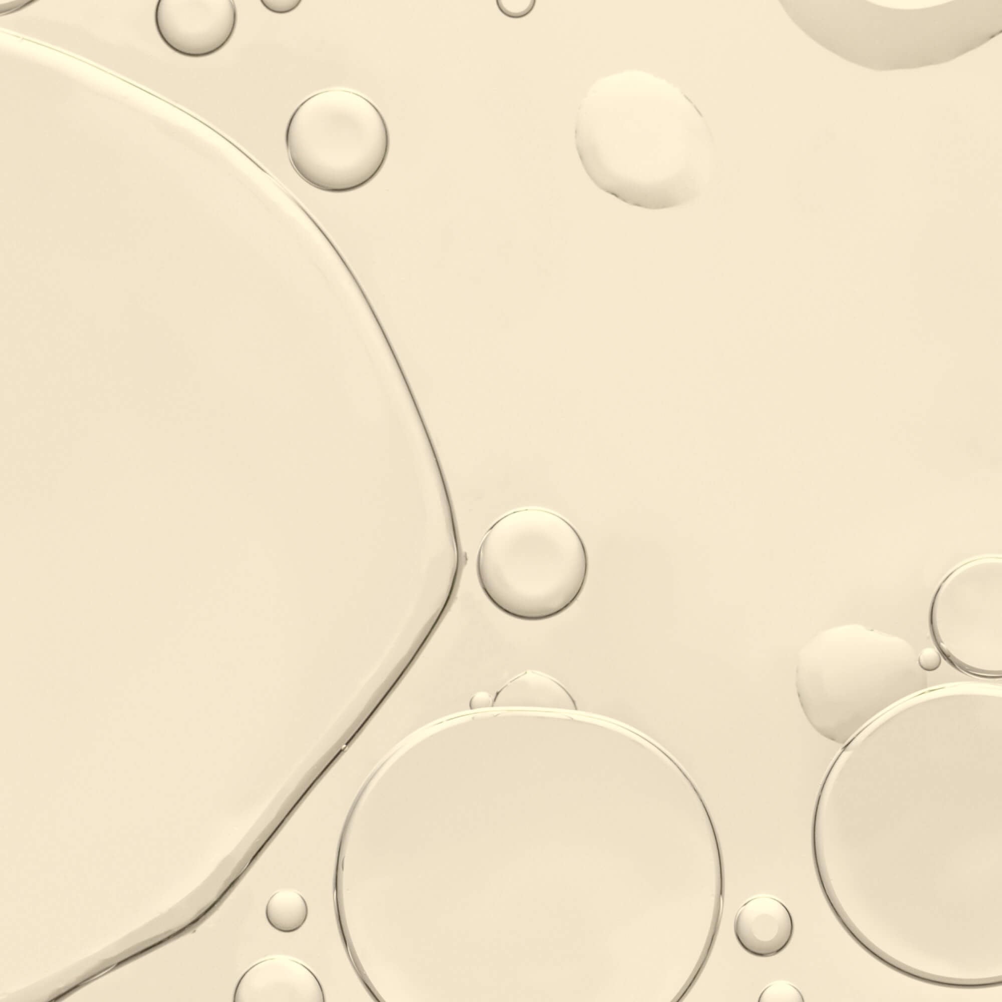 Foundation Shampoo